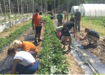 agricoltura inclusiva