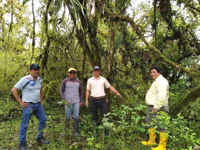 bosque seco ecuador